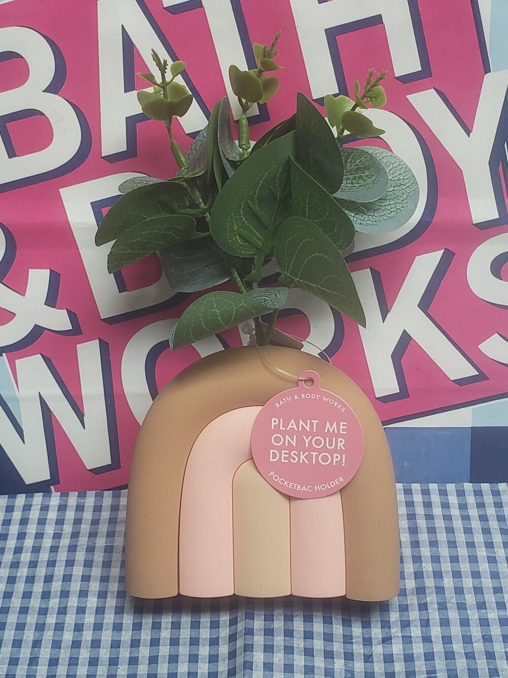 BBW Desk House Planter Succulent Plant PocketBac Holder | Office / Home Decor